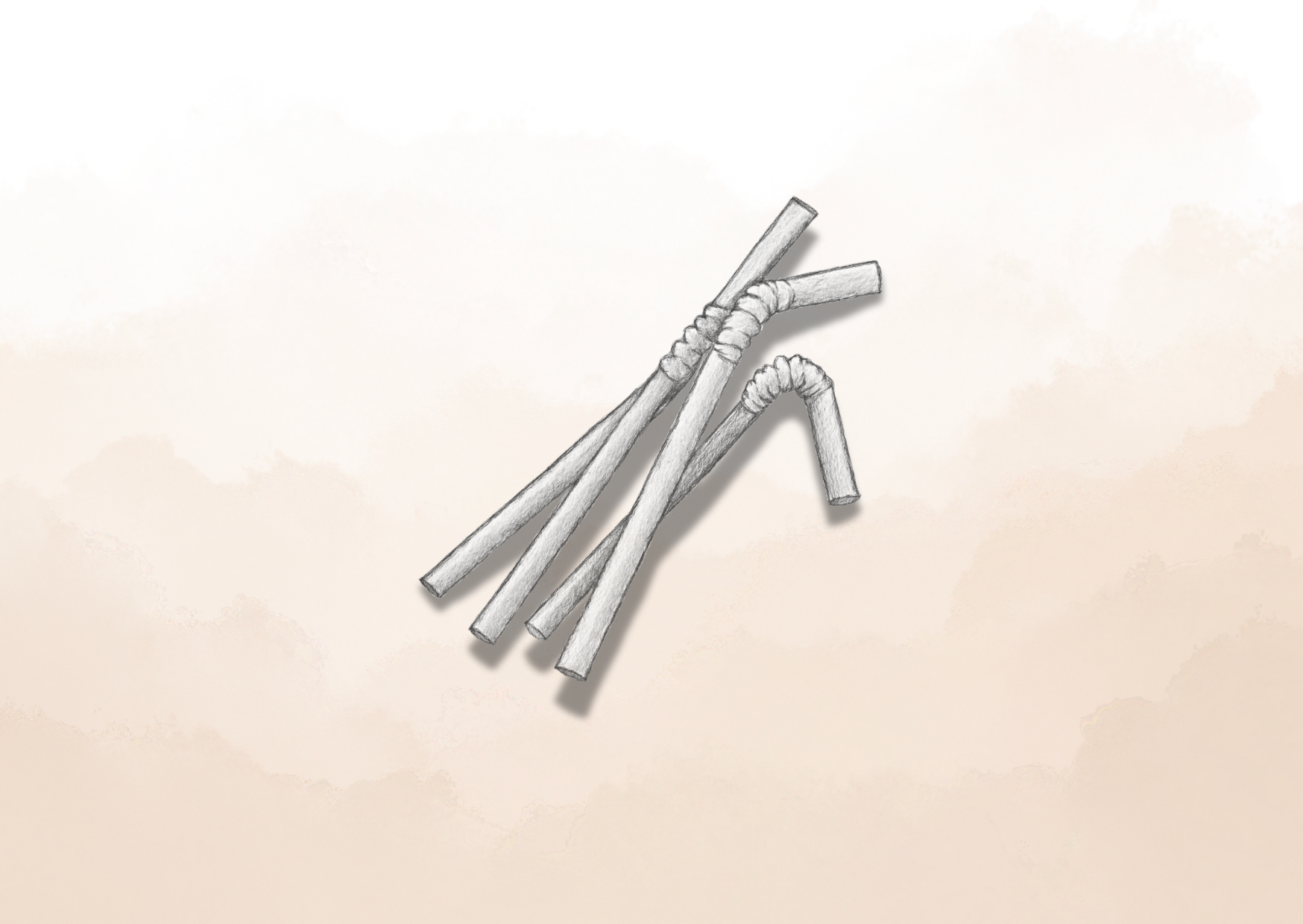 Salmiņi dzērieniem